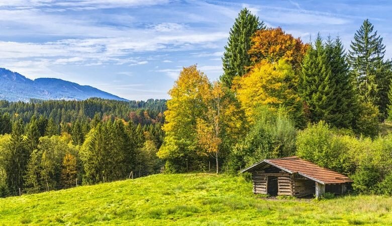 Quels types de fondations choisir pour ses abris de jardin ?